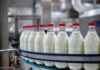 На крупнейшем молокоперерабатывающем предприятии Ивановской области удвоят выпуск продукции