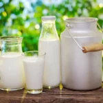 Производство молока в 2025 году вырастет на 2%