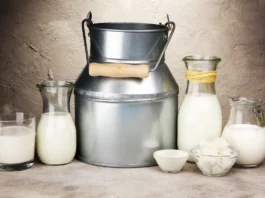 СХП «Мокрое» увеличивает производство молока