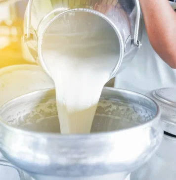 Темпы прироста производства молока снизились в два раза