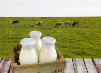 Себестоимость производства сырого молока продолжает расти