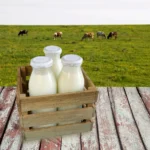 Топ-10 крупнейших стран-производителей молока в мире