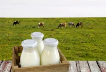 С 2026 года субсидию на реализацию молока будут получать только представители малого и среднего агробизнеса