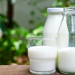 Молочная инфляция на Сахалине замедляется благодаря поддержке местного хозяйства