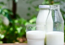 Молоко с вирусом оказалось безопаснее, чем думали: неожиданный вывод экспериментов