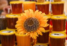 В Москве пройдет четвертый Национальный гастрономический фестиваль «Вкусы России»