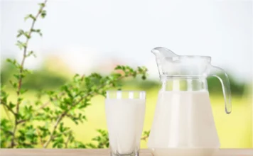 В Израиле начались продажи молока, произведённого без участия коров