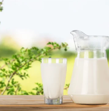 В Израиле начались продажи молока, произведённого без участия коров