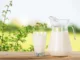 В Израиле начались продажи молока, произведённого без участия коров
