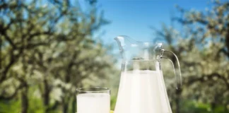 Секрет здорового сердца раскрыт: ученые раскрыли невероятные свойства молока