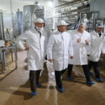 Кубанский «Сыродел» выпускает продукцию исключительно из местного молока