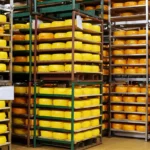 Молоко и творог «Углече Поле» отмечены наградами за высокое качество