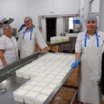 Тольяттинская сыроварня с овечьими сырами Paniere вышла на федеральный уровень