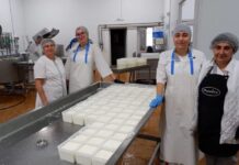 Тольяттинская сыроварня с овечьими сырами Paniere вышла на федеральный уровень