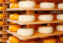 Минсельхоз: Подмосковье накормит сыром всю страну