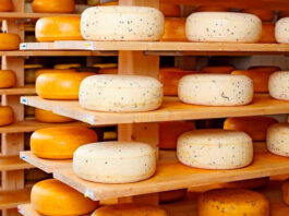 Сыр и сырный продукт: как их отличить?