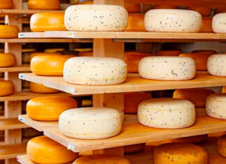Минсельхоз: Подмосковье накормит сыром всю страну