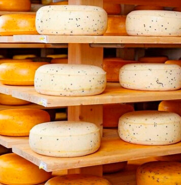 Сыр и сырный продукт: как их отличить?