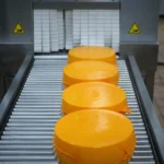 Угличский сыродельно-молочный завод начинает выпуск новых линеек сыров из козьего молока