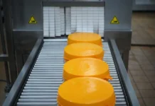 Угличский сыродельно-молочный завод начинает выпуск новых линеек сыров из козьего молока