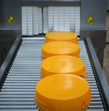 Угличский сыродельно-молочный завод начинает выпуск новых линеек сыров из козьего молока