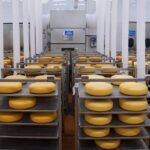 Ассортимент белорусской молочной продукции вырос во много раз