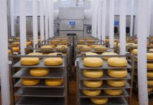 Ассортимент белорусской молочной продукции вырос во много раз