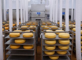 Ассортимент белорусской молочной продукции вырос во много раз
