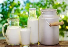 В Якутии выполнили годовой план заготовки молока