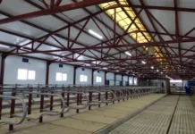 В Удмуртии открылась новая высокотехнологичная молочная ферма в составе Зуринского Агрокомплекса