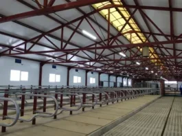 В Удмуртии открылась новая высокотехнологичная молочная ферма в составе Зуринского Агрокомплекса