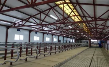 В Удмуртии открылась новая высокотехнологичная молочная ферма в составе Зуринского Агрокомплекса