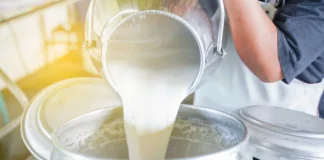 Вирус гриппа птиц может долго сохраняться в молоке при мягкой пастеризации