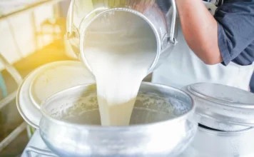 Вирус гриппа птиц может долго сохраняться в молоке при мягкой пастеризации