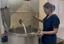 Курская молочная кухня обновила оборудование для производства творога