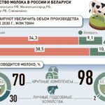 Молочники России и Беларуси обсуждают, как достичь баланса на рынке