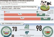 Молочники России и Беларуси обсуждают, как достичь баланса на рынке