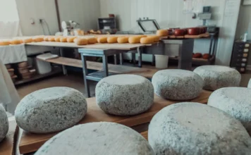 В НГАУ разработали пресс для разных видов сыра, работающий без человека