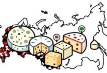 В России появился гастрономический маршрут «Сырная дорога Севера»