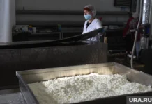 Российский рынок завоевывает новый вид молочного продукта